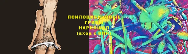 МДПВ Нязепетровск