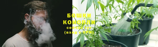 меф Няндома