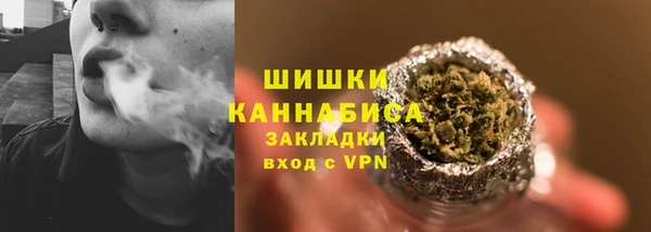 шишки Нягань