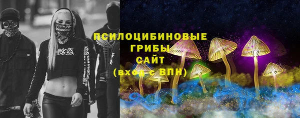 меф Няндома