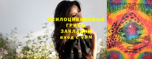 МДПВ Нязепетровск
