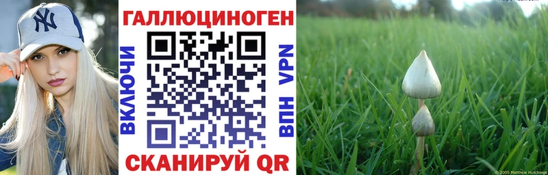 Галлюциногенные грибы Cubensis  Эртиль 